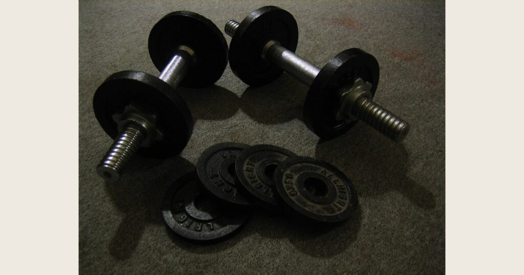 Two plate-loaded dumbbells with threaded handle ends and separate weight plates